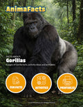 AnimaFacts Gorillas