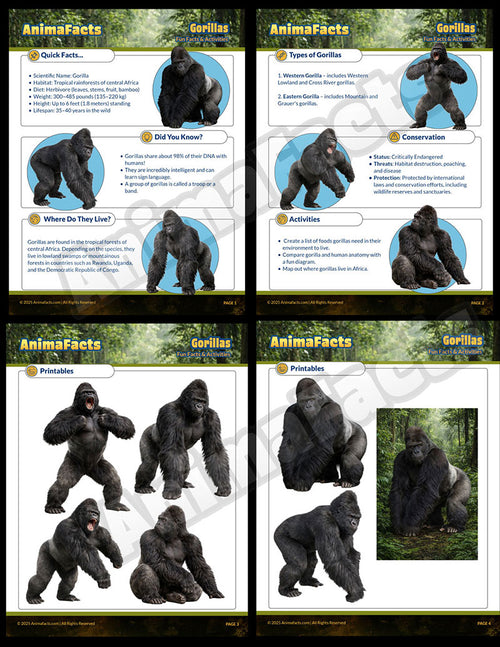 AnimaFacts Gorillas