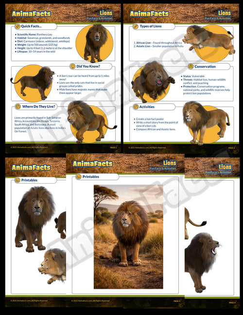 AnimaFacts Lions