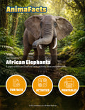AnimaFacts African Elephants