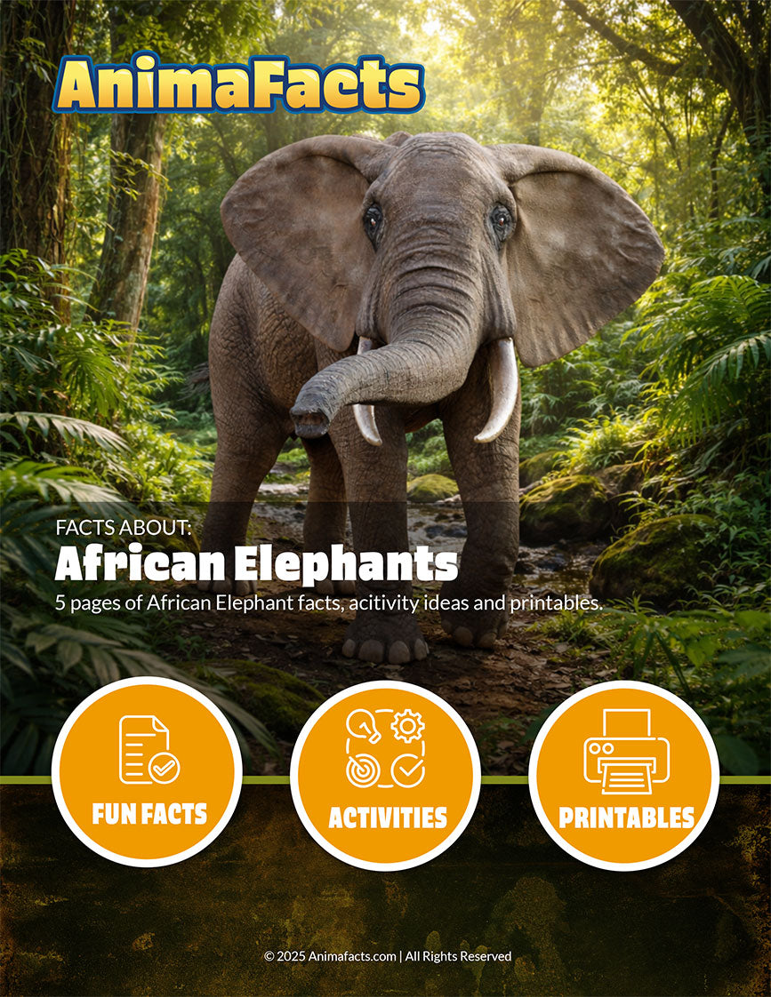 AnimaFacts African Elephants