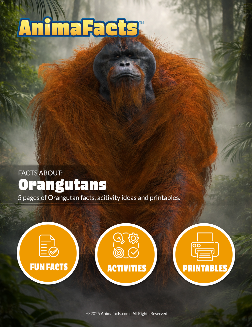 AnimaFacts Orangutans